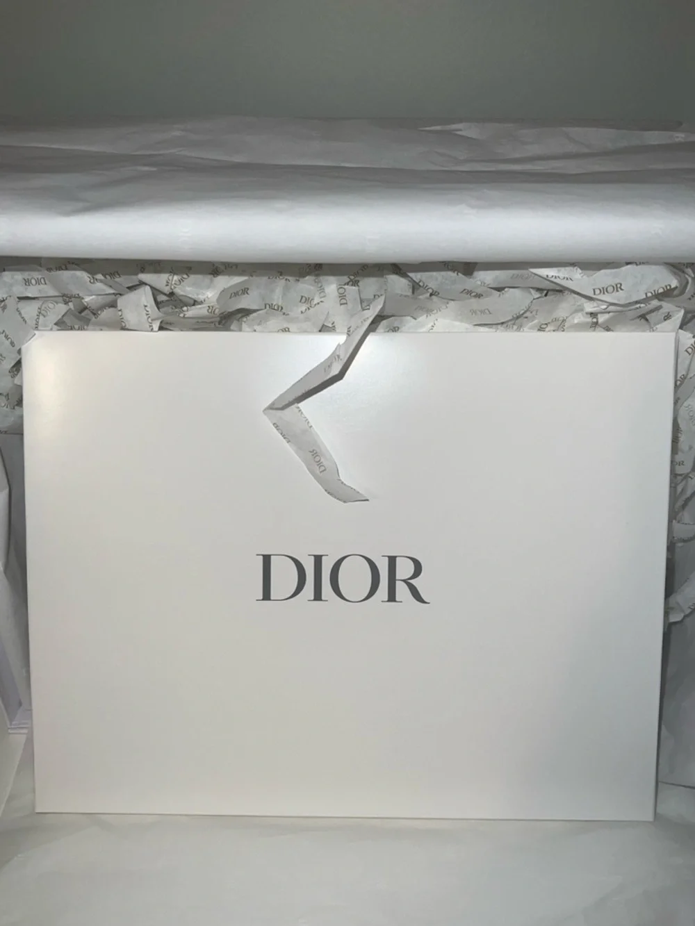 Dior Terry Cloth Pouch with Dior Box - Picture 6 of 10